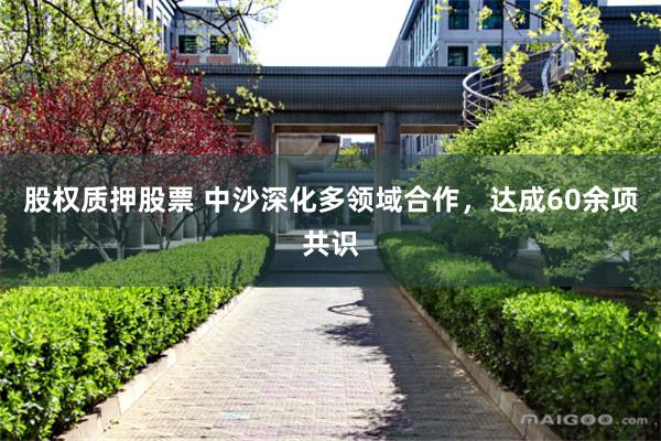 股权质押股票 中沙深化多领域合作,达成60余项共识