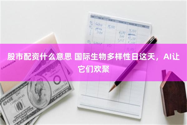 股市配资什么意思 国际生物多样性日这天，AI让它们欢聚