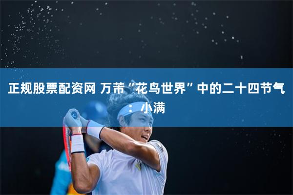 正规股票配资网 万芾“花鸟世界”中的二十四节气：小满