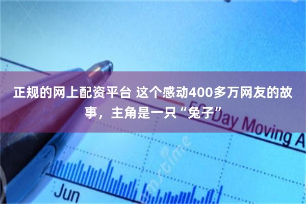 正规的网上配资平台 这个感动400多万网友的故事，主角是一只“兔子”