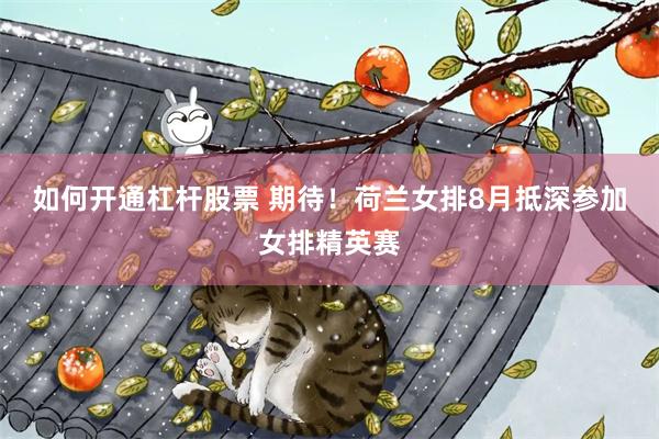 如何开通杠杆股票 期待！荷兰女排8月抵深参加女排精英赛