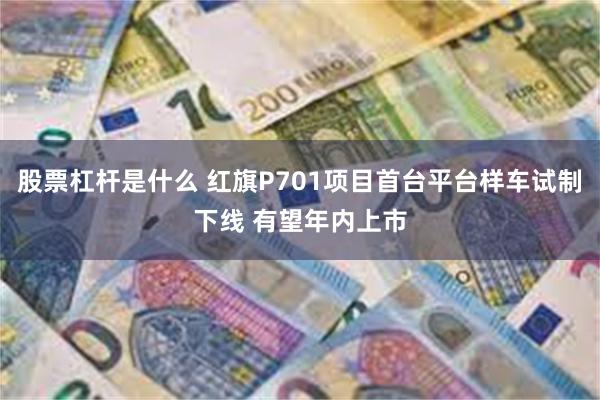 股票杠杆是什么 红旗P701项目首台平台样车试制下线 有望年内上市