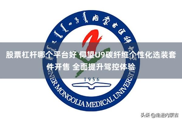 股票杠杆哪个平台好 仰望U9碳纤维个性化选装套件开售 全面提升驾控体验