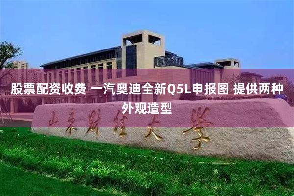 股票配资收费 一汽奥迪全新Q5L申报图 提供两种外观造型