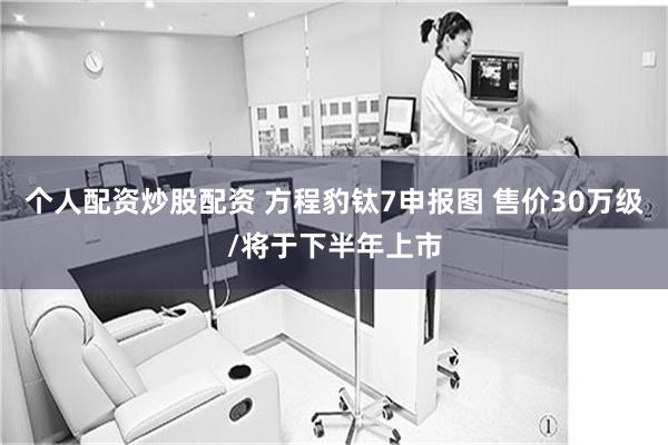 个人配资炒股配资 方程豹钛7申报图 售价30万级/将于下半年上市