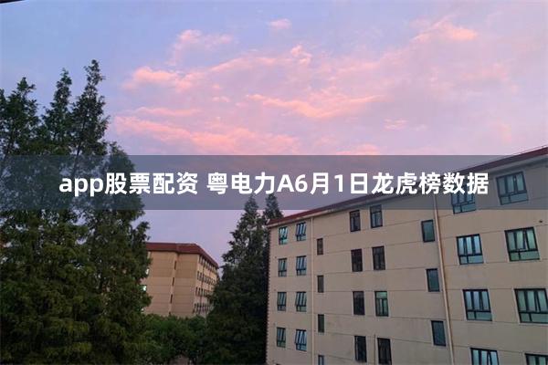 app股票配资 粤电力A6月1日龙虎榜数据