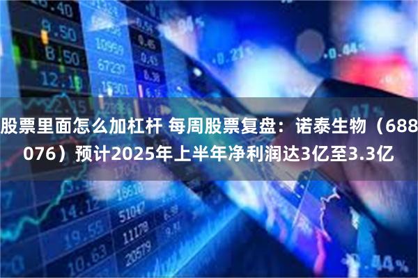 股票里面怎么加杠杆 每周股票复盘：诺泰生物（688076）预计2025年上半年净利润达3亿至3.3亿