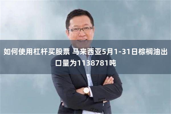 如何使用杠杆买股票 马来西亚5月1-31日棕榈油出口量为1138781吨
