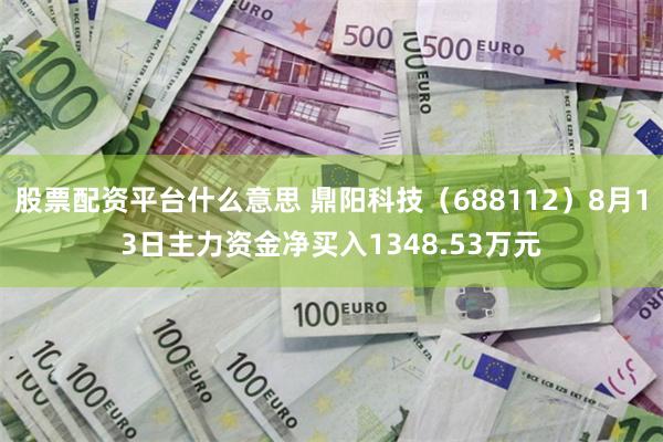股票配资平台什么意思 鼎阳科技(688112)8月13日主力资金净买入1348.53万元