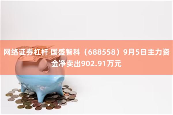 网络证劵杠杆 国盛智科（688558）9月5日主力资金净卖出902.91万元