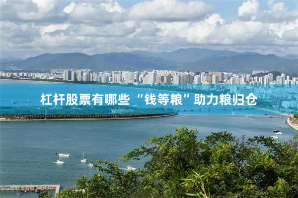 杠杆股票有哪些 “钱等粮”助力粮归仓