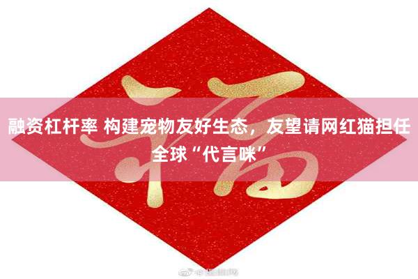 融资杠杆率 构建宠物友好生态，友望请网红猫担任全球“代言咪”