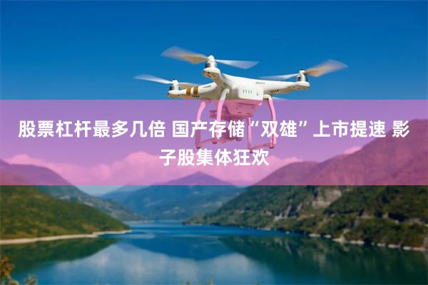 股票杠杆最多几倍 国产存储“双雄”上市提速 影子股集体狂欢