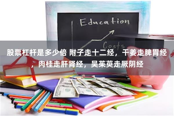 股票杠杆是多少倍 附子走十二经，干姜走脾胃经，肉桂走肝肾经，吴茱萸走厥阴经