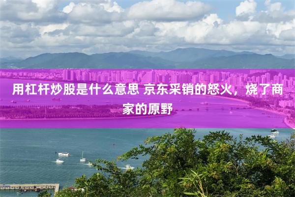 用杠杆炒股是什么意思 京东采销的怒火,烧了商家的原野