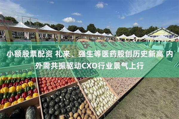 小额股票配资 礼来、强生等医药股创历史新高 内外需共振驱动CXO行业景气上行