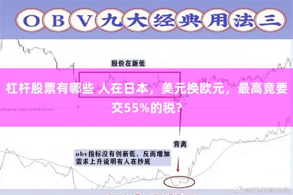 杠杆股票有哪些 人在日本，美元换欧元，最高竟要交55%的税？
