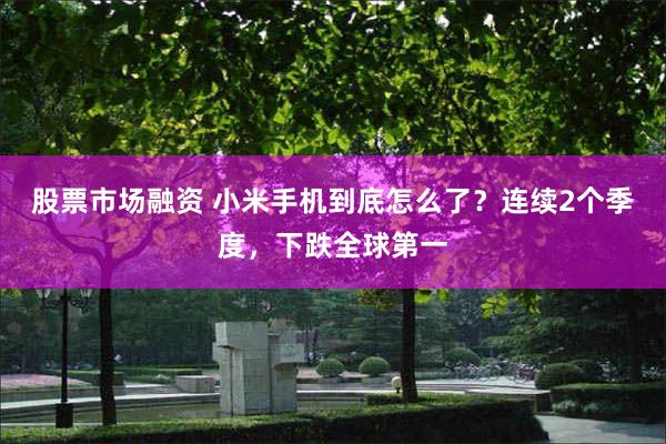 股票市场融资 小米手机到底怎么了？连续2个季度，下跌全球第一