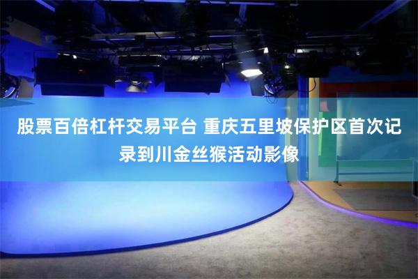 股票百倍杠杆交易平台 重庆五里坡保护区首次记录到川金丝猴活动影像