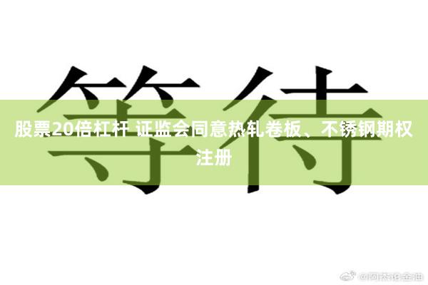 股票20倍杠杆 证监会同意热轧卷板、不锈钢期权注册