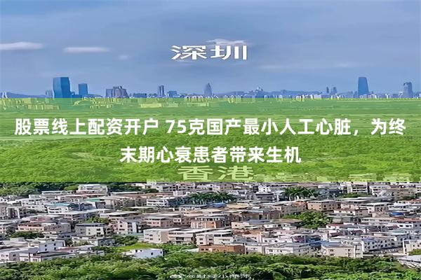股票线上配资开户 75克国产最小人工心脏，为终末期心衰患者带来生机