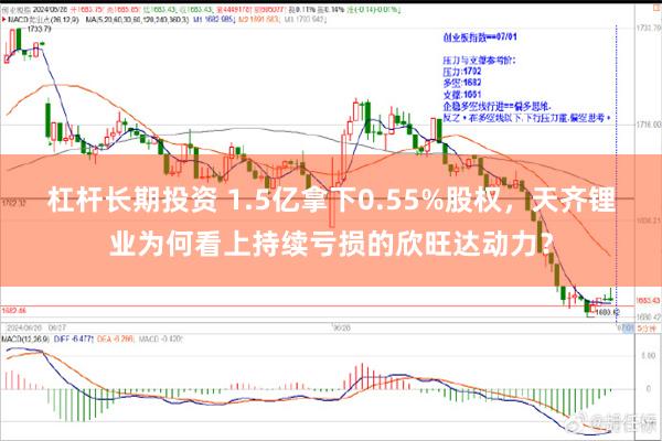 杠杆长期投资 1.5亿拿下0.55%股权，天齐锂业为何看上持续亏损的欣旺达动力？