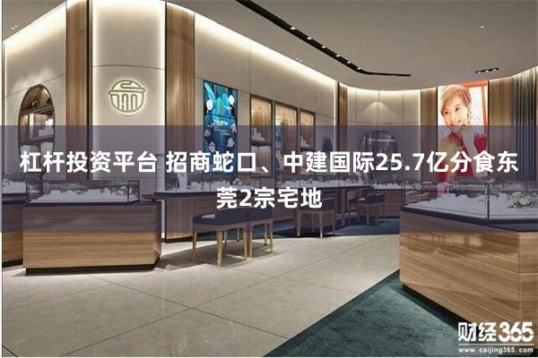 杠杆投资平台 招商蛇口、中建国际25.7亿分食东莞2宗宅地