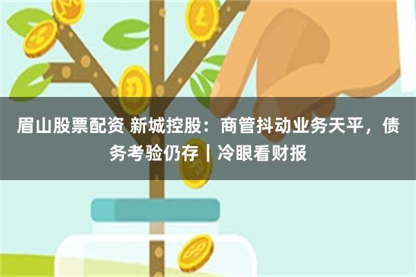 眉山股票配资 新城控股：商管抖动业务天平，债务考验仍存｜冷眼看财报