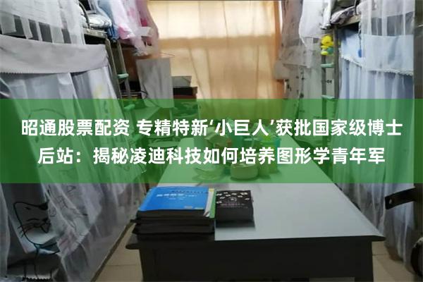 昭通股票配资 专精特新‘小巨人’获批国家级博士后站：揭秘凌迪科技如何培养图形学青年军