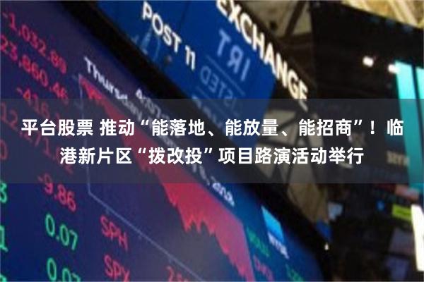 平台股票 推动“能落地、能放量、能招商”！临港新片区“拨改投”项目路演活动举行