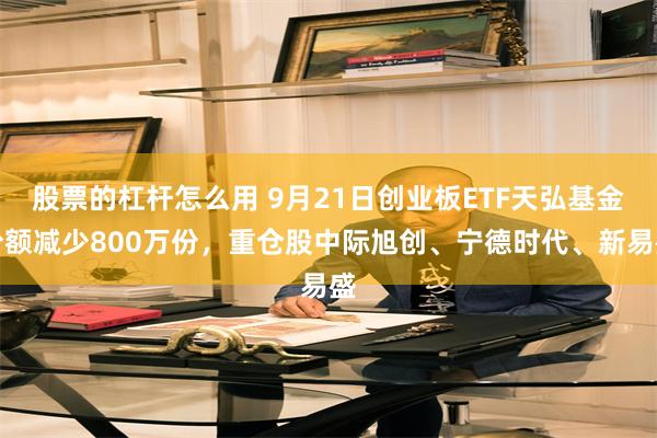股票的杠杆怎么用 9月21日创业板ETF天弘基金份额减少800万份，重仓股中际旭创、宁德时代、新易盛