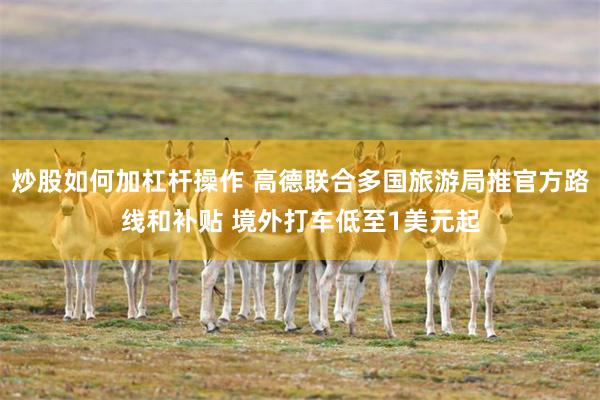 炒股如何加杠杆操作 高德联合多国旅游局推官方路线和补贴 境外打车低至1美元起