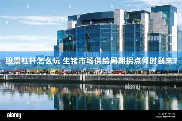 股票杠杆怎么玩 生猪市场供给周期拐点何时到来？