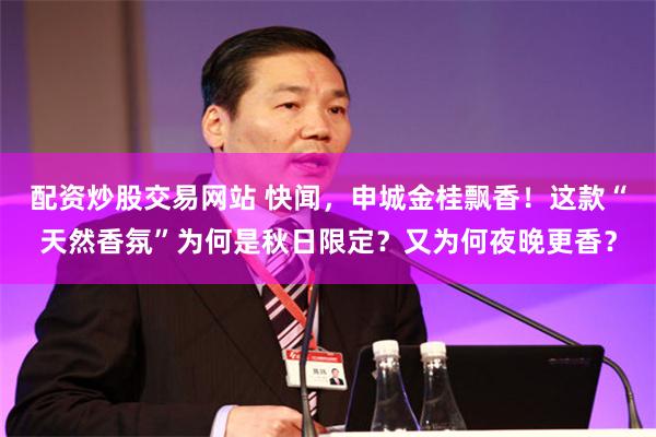 配资炒股交易网站 快闻，申城金桂飘香！这款“天然香氛”为何是秋日限定？又为何夜晚更香？