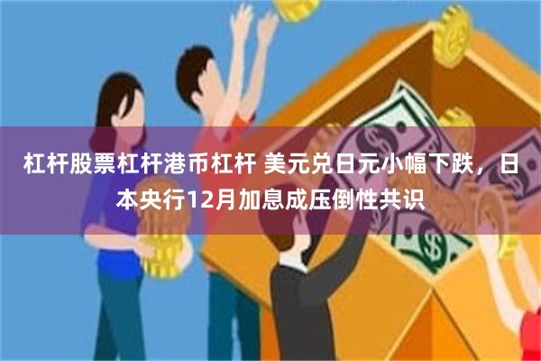 杠杆股票杠杆港币杠杆 美元兑日元小幅下跌，日本央行12月加息成压倒性共识