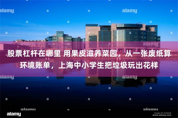 股票杠杆在哪里 用果皮滋养菜园，从一张废纸算环境账单，上海中小学生把垃圾玩出花样