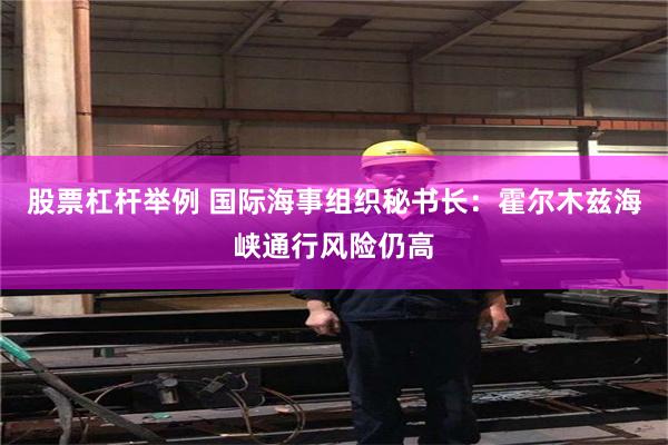 股票杠杆举例 国际海事组织秘书长：霍尔木兹海峡通行风险仍高